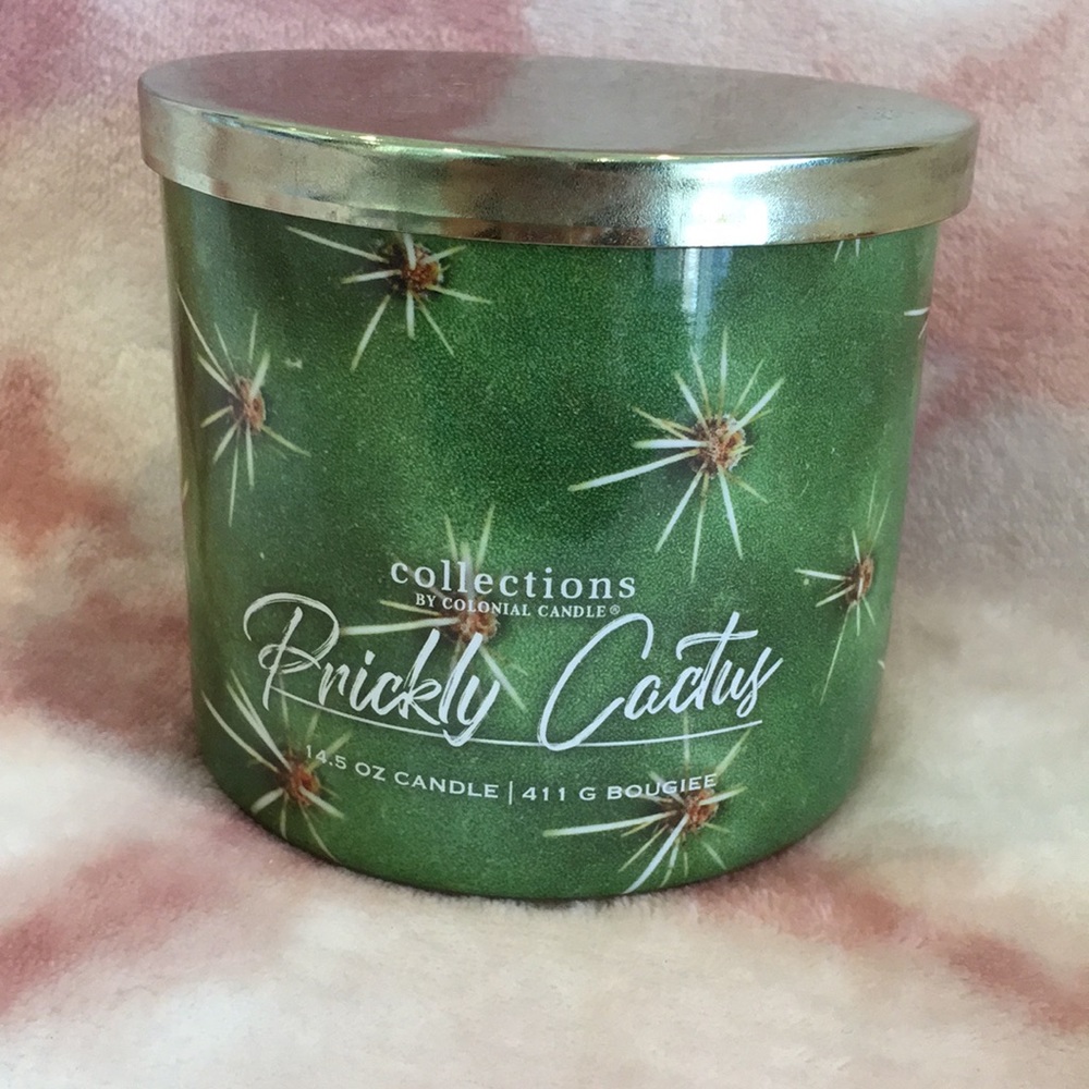 Prickly Cactus Desert Scented Candle by Colonial Candles large 3wick 14.50oz NWT